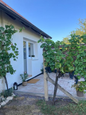 Apartmán Hrozínek Dobré Pole